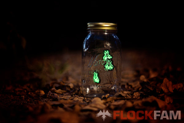 Firefly Eyes
